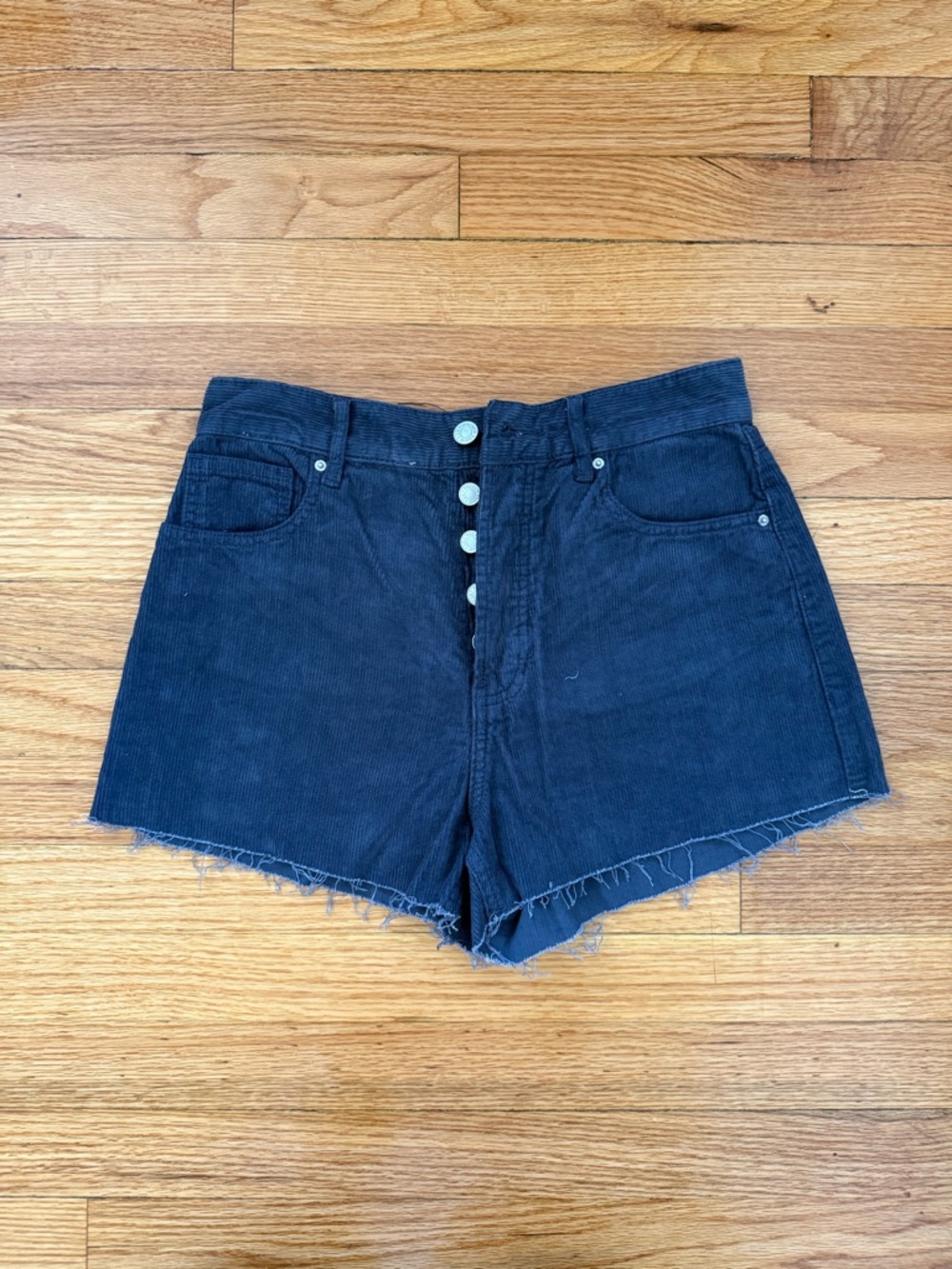 Pacsun High-Waist Navy Corduroy Women’s Shorts